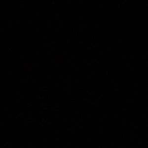 Meet your Posher, Maya